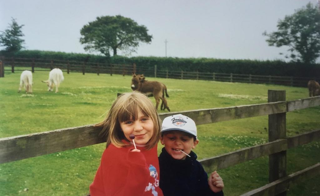 A donkey